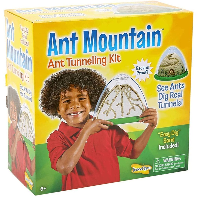 Ant Mountain