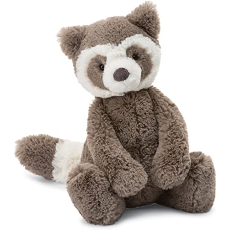 Bashful Raccoon