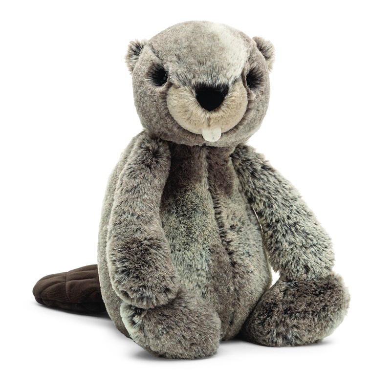 Bashful Beaver