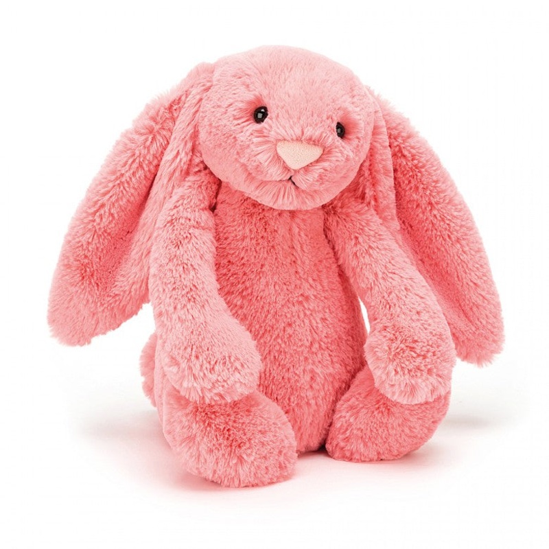 Bashful Bunny Coral