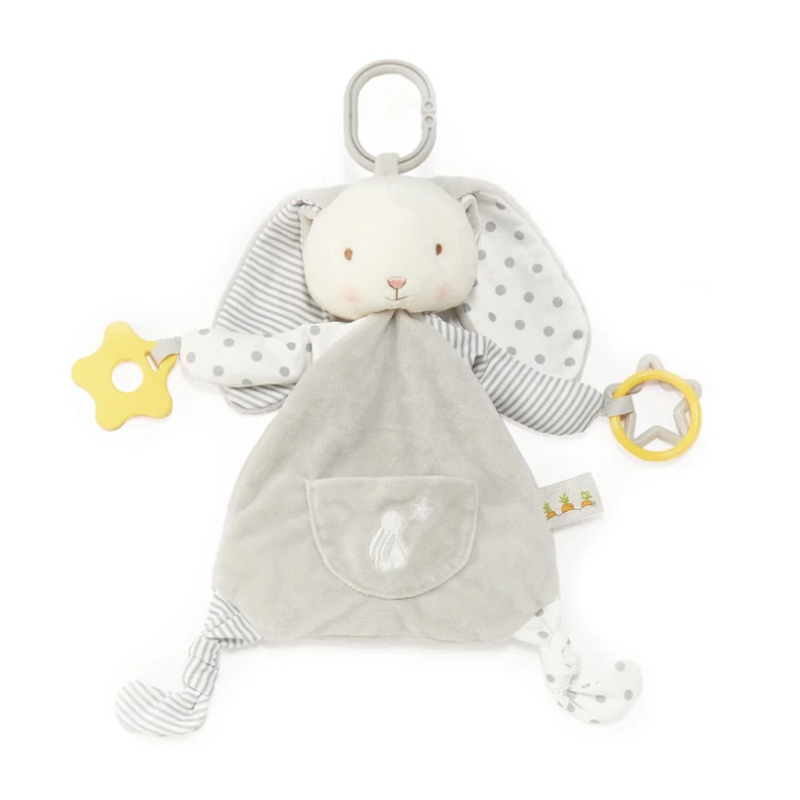 Bloom's Activity Toy