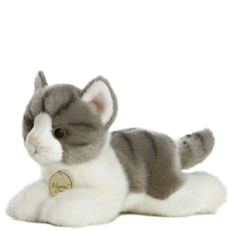 Aurora - 8 Grey Tabby Cat