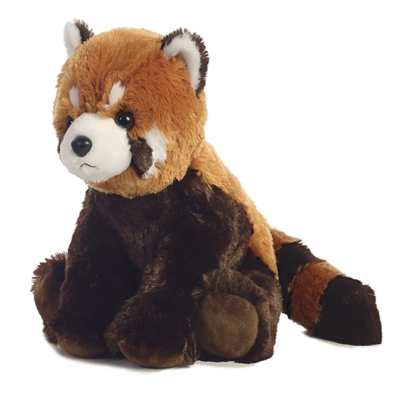 Aurora - Red Panda