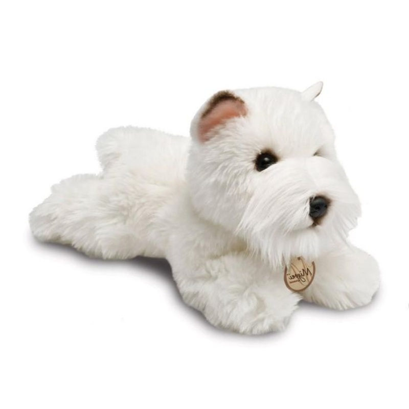 Aurora 8 Westie