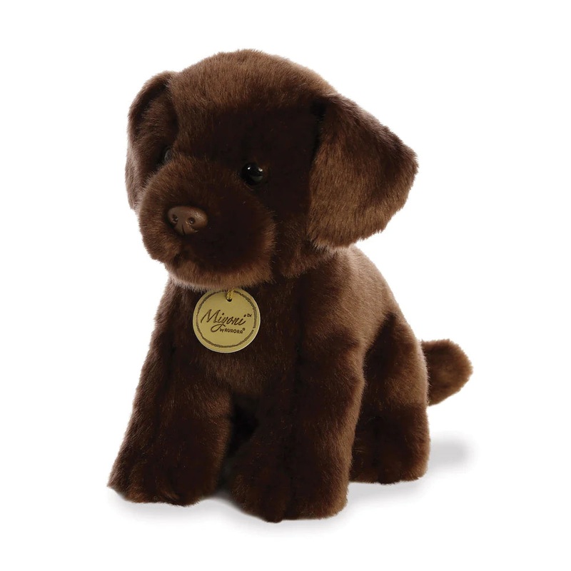 Aurora Chocolate Labrador